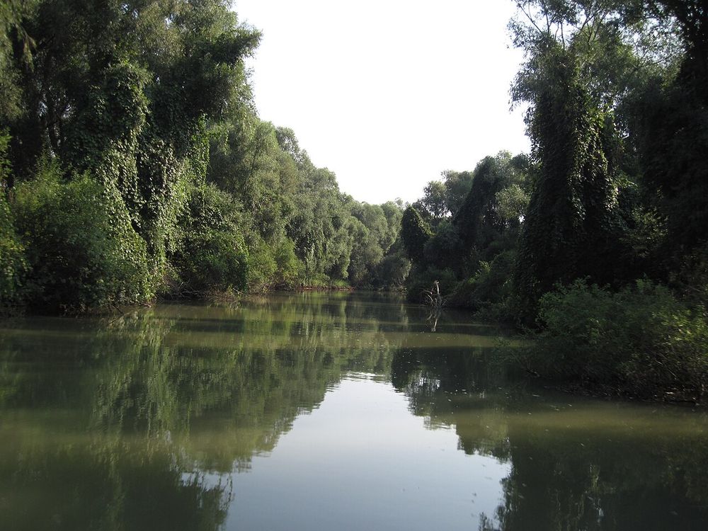 Il delta del Danubio, Tulcea e Sulina