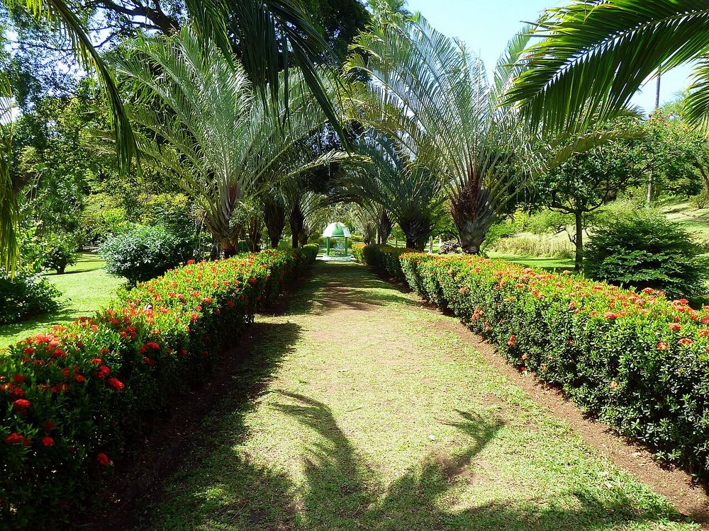 Giardino botanico, Kingstown