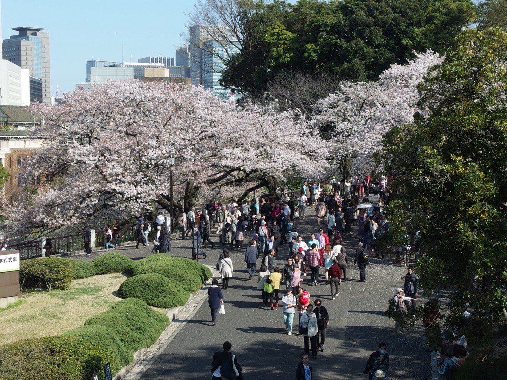 Chidorigafuchi, Imperial Palace moat