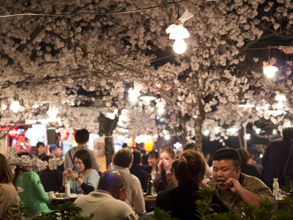 Maruyama Park and Yasaka Shrine, Higashiyama, Kyoto