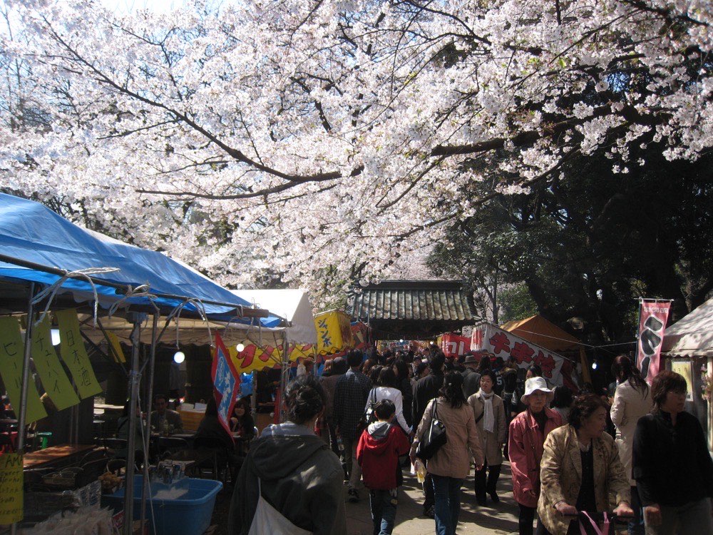 Crowds walking under cherry blossoms between food stalls in Ueno Park