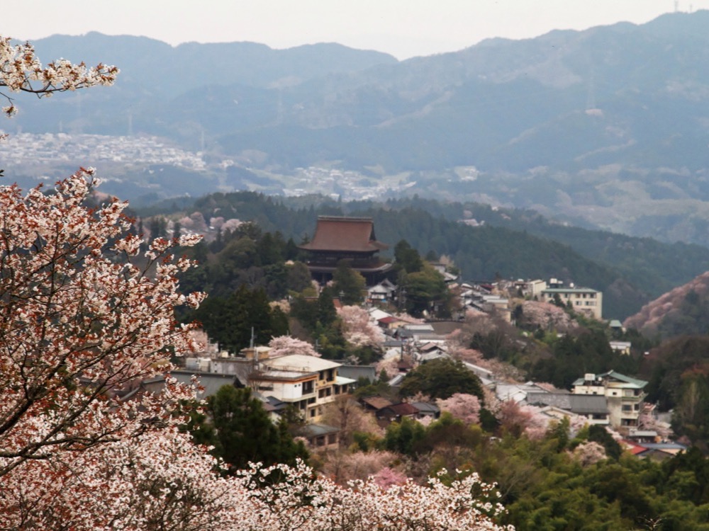 Cherry trees in bloom on the slopes of Mount Yoshino above the village and its temple
