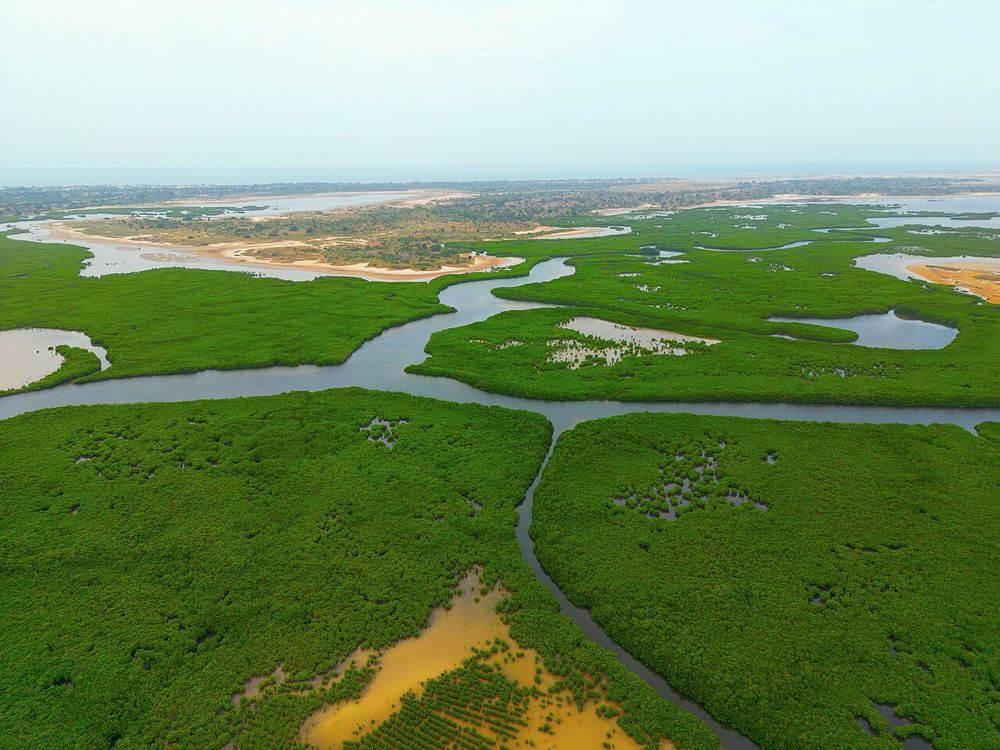 El delta del Sine-Saloum, Región de Fatick