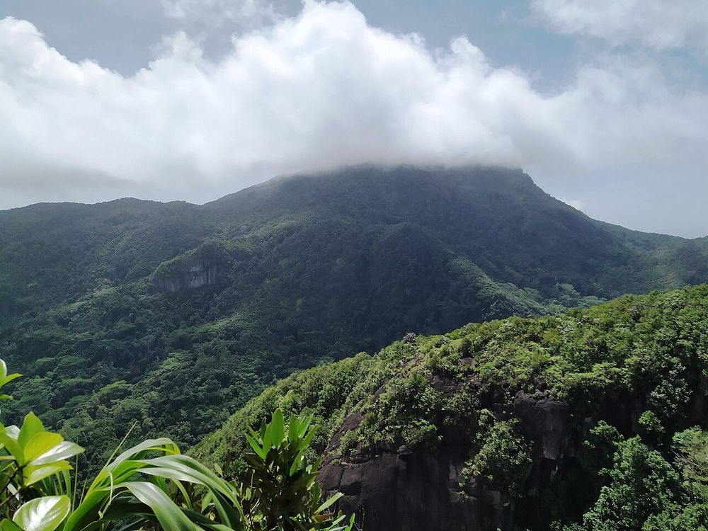 Parque Nacional Morne Seychellois, Centro de Mahé