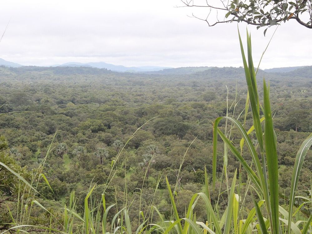 Parque Nacional de Outamba-Kilimi, O norte, perto da fronteira com a Guiné