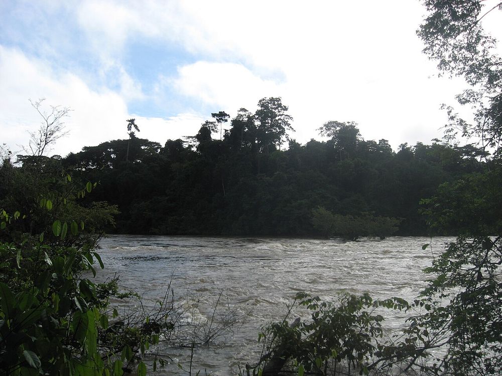 Tiwai Island, Rio Moa, sudeste