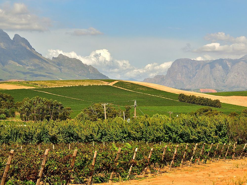 Stellenbosch, Cape Winelands