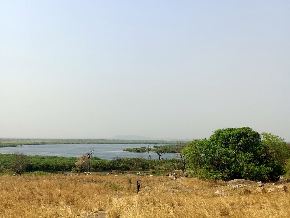 Nationaal Park Nimule, Nimule, aan de grens met Oeganda