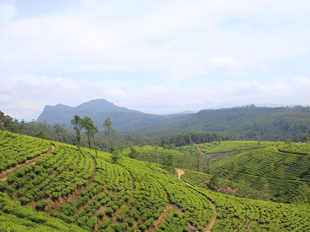 La regione del tè, Nuwara Eliya