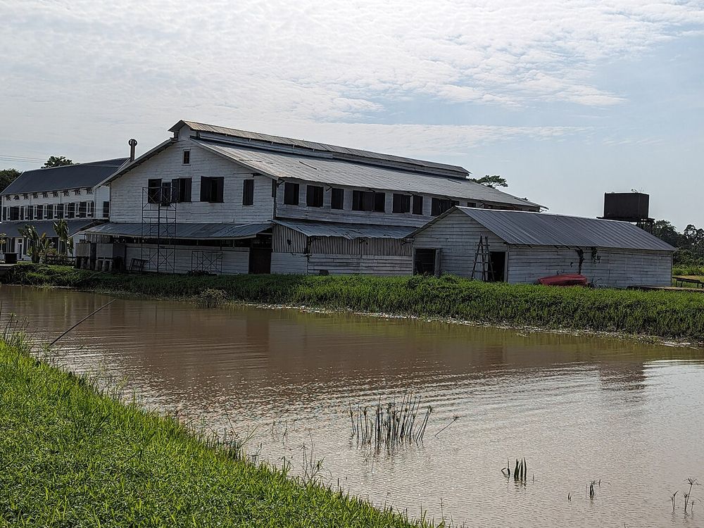 Peperpot y las plantaciones de Commewijne, Commewijne, al otro lado del río