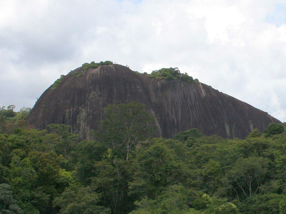 Voltzberg y Raleighvallen, Reserva Natural de Surinam Central