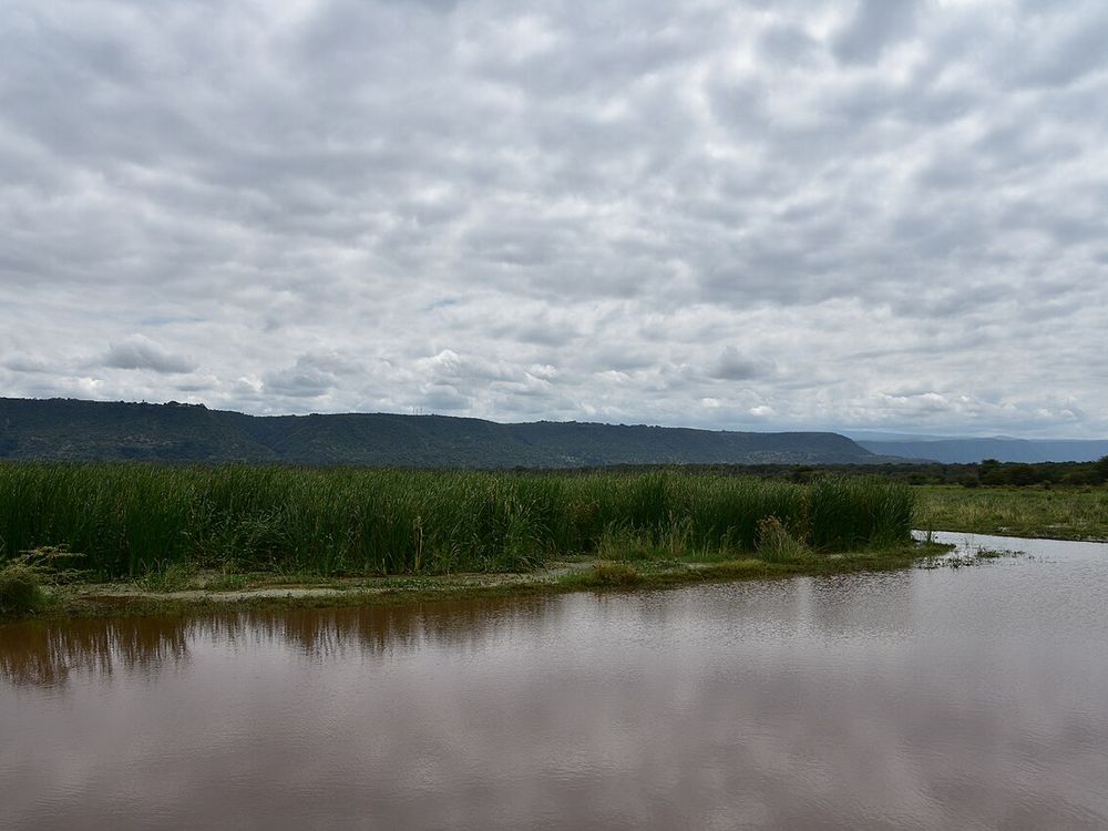 O lago Manyara, Abaixo da escarpa do Vale do Rift