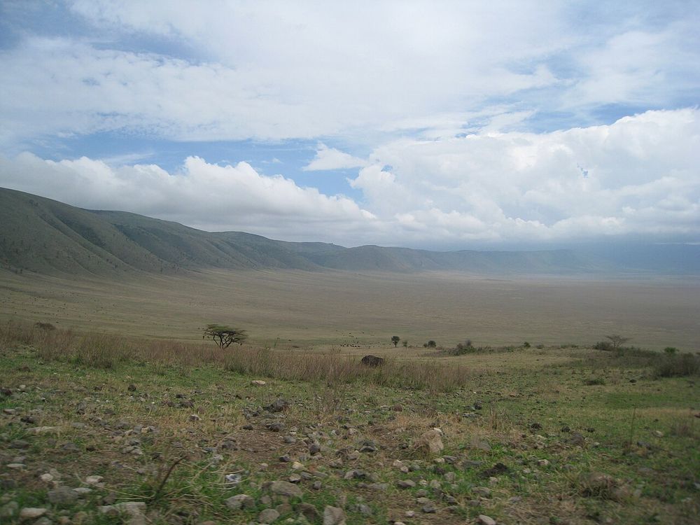 A Cratera de Ngorongoro, Área de Conservação de Ngorongoro