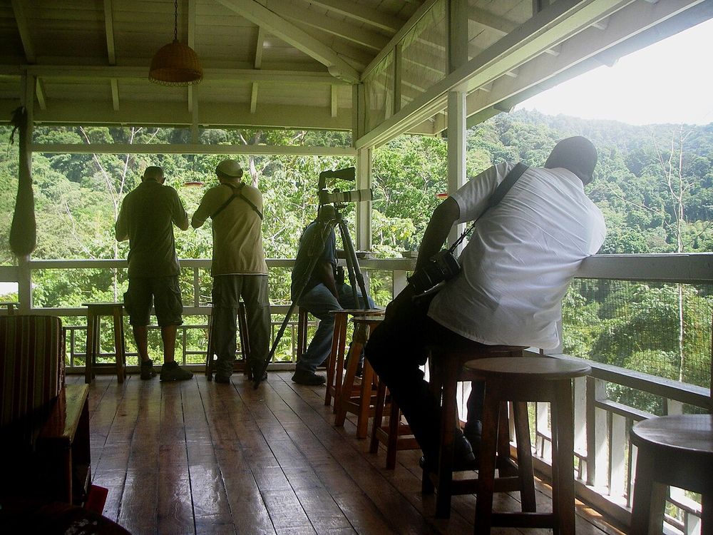 Asa Wright Nature Centre, Valle di Arima, Northern Range