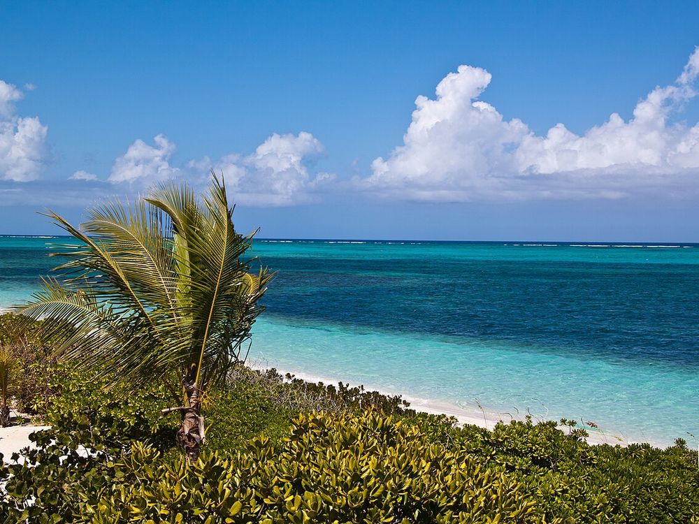 Smith's Reef, Turtle Cove, Providenciales