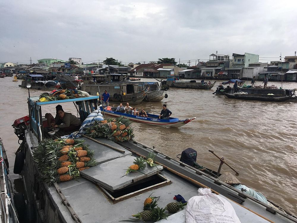The Mekong Delta, My Tho and Can Tho